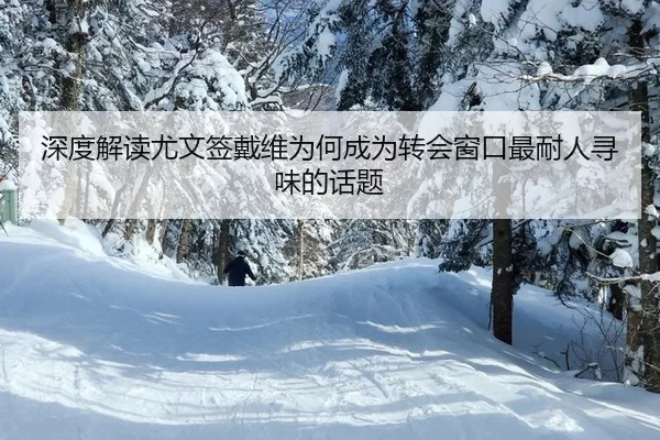 shen-du-jie-du-you-wen-qian-dai-wei-wei-he-cheng-wei-zhuan-hui-chuang-kou-zui-nai-ren-xun-wei-de-hua-ti-2-776.jpg